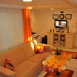 Deniz Manzarasi, Marti Sesleri Esliginde , Istanbul Turkey